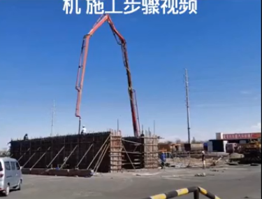 大型整車Ⅹ光掃描安檢機(jī)