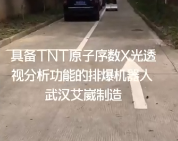 多目視覺排爆機(jī)器人